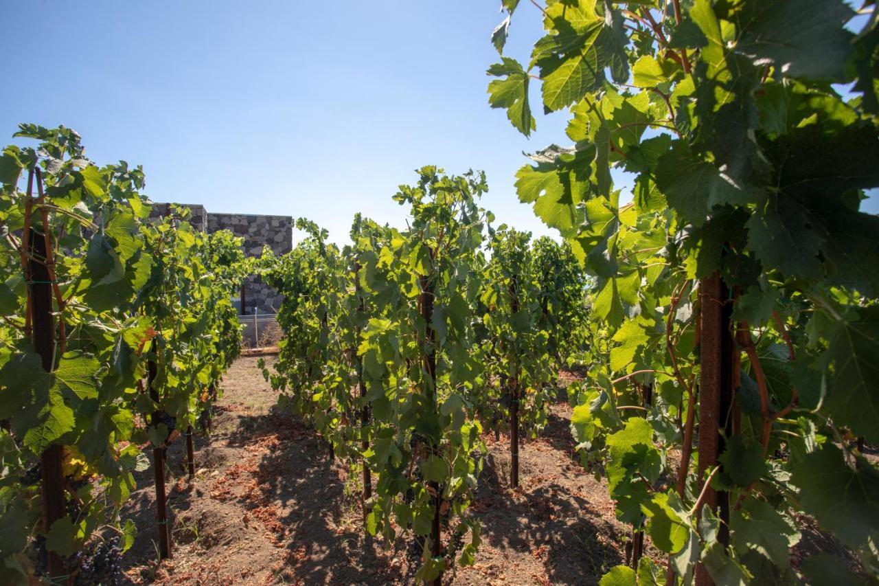 Tenuta Di Castellaro Winery & Resort Lipari  Exterior photo